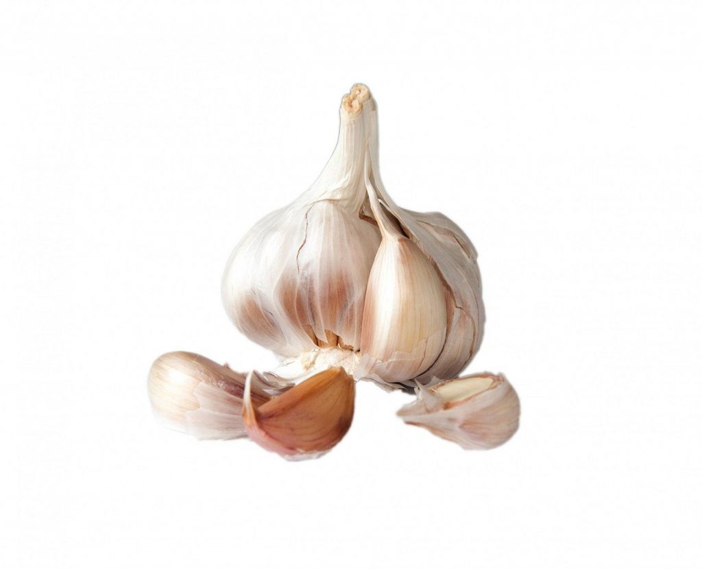 garlic, bulb, clove